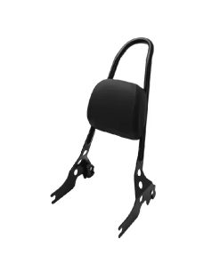 Sissybar med hurtigfeste. 04-22 Sportster
